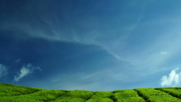 Tiempo de lapso de nubes moviéndose por encima de la granja de té . — Vídeos de Stock