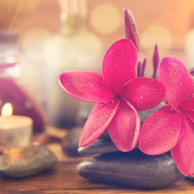 Spa tedavisi ayarı