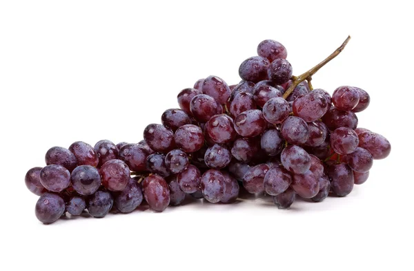 Fruto de uva azul fresco sobre fondo blanco — Foto de Stock