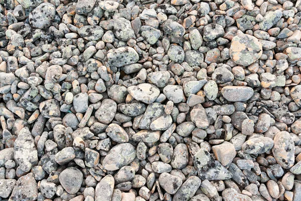 Fondo abstracto con piedras peeble redondas — Foto de Stock