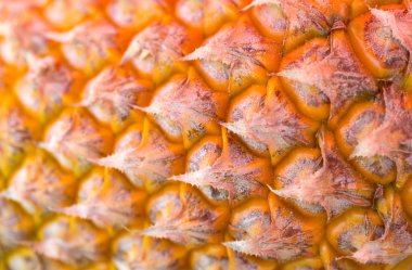 ayrıntı ananas yakın çekim