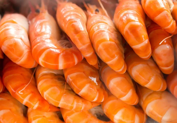 Camarones cocidos — Foto de Stock