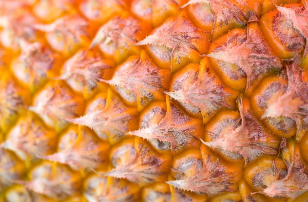 Detail ananas close-up — Stockfoto