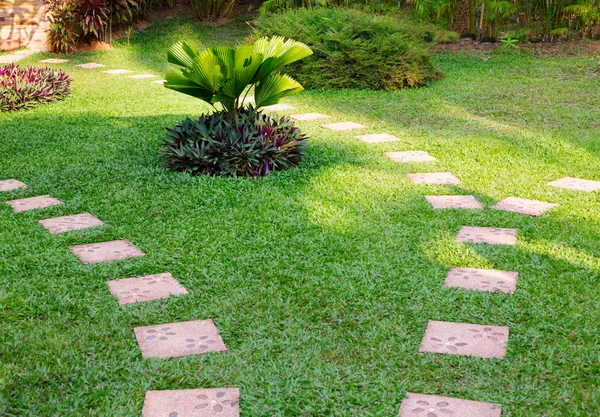 Camino de piedra sobre hierba verde — Foto de Stock