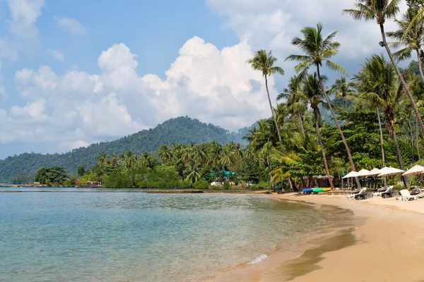 Tropical beach, palm trees — Stock Photo, Image