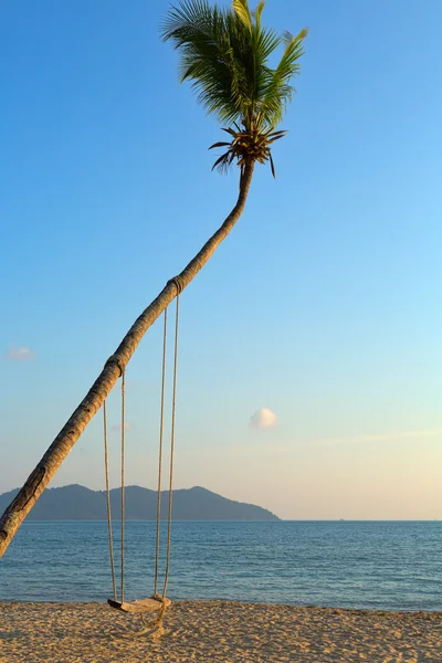 Empty swing hanging from a tree on romantic — Stock Photo, Image