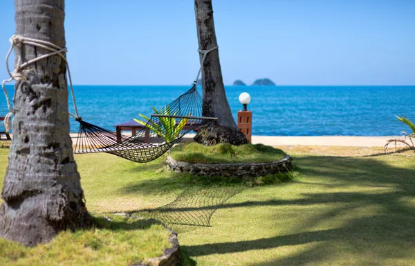 Hangmat gespannen tussen twee palmen op tropisch eiland. — Stockfoto