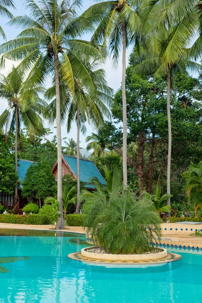 Piscina tropical — Fotografia de Stock