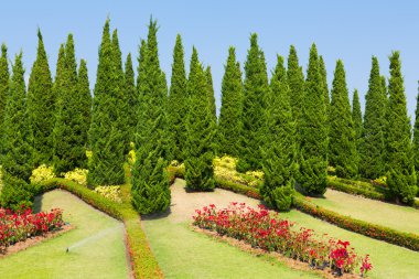 peyzajlı Bahçe Kraliyet flora ratchaphruek
