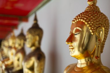 Buda wat pho Tapınak