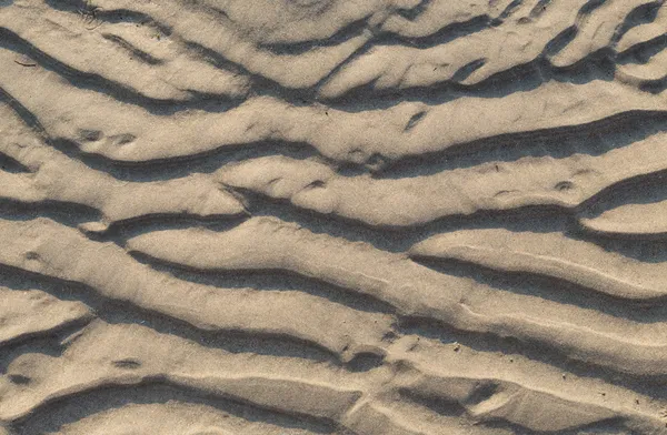 Kum tepeciği — Stok fotoğraf