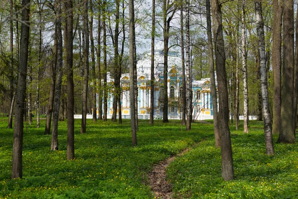 在凯瑟琳公园在穿过树林 tsarskoe selo 亭 — 图库照片