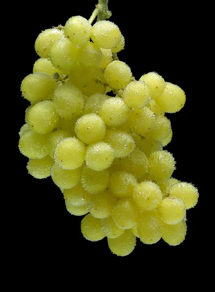 Racimo de uvas sobre un fondo negro — Foto de Stock