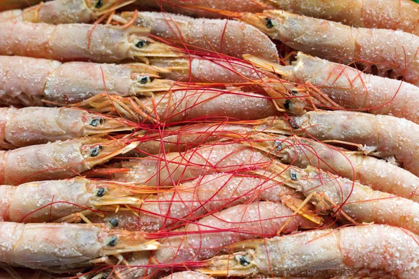 Deep frozen boiled shrimps.Tasty seafood. — Stock Photo, Image