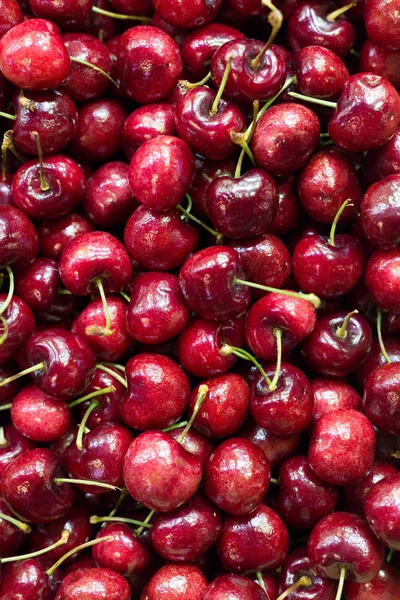 Freshly picked heap of cherries — Stock Photo, Image