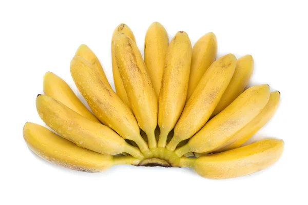 Naturliga små tropiska banan i ett gäng — Stockfoto