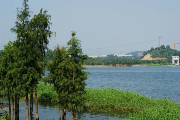 Paisagem — Fotografia de Stock