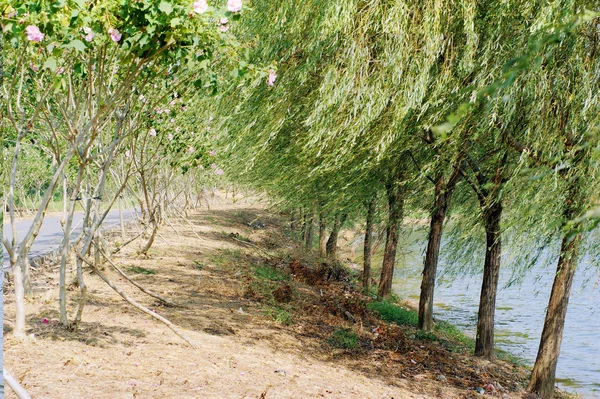 Paisagem — Fotografia de Stock