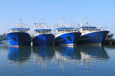 balıkçı gemileri limana demirledi