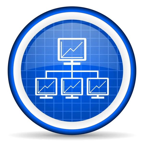 Network blue glossy icon on white background — Stock Photo, Image