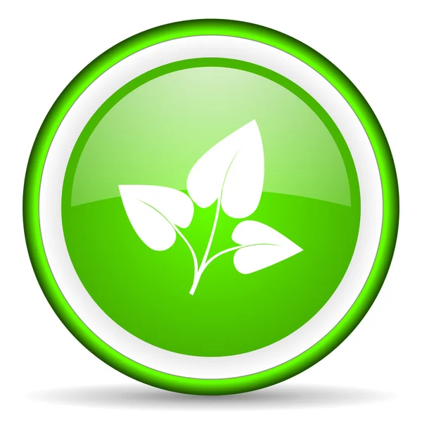 Eco green glossy icon on white background — Stock Photo, Image