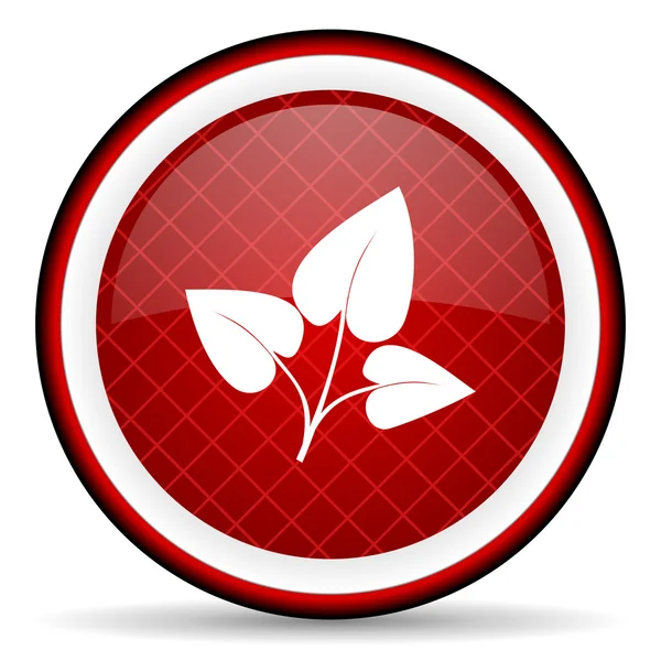 Eco rode glanzende pictogram op witte achtergrond — Stockfoto
