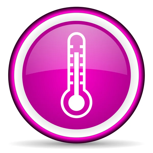 Termometer ikon ungu mengkilap pada latar belakang putih — Stok Foto