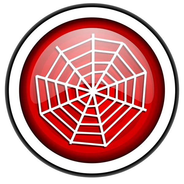 Spider red glossy icon isolated on white background — Stock Photo, Image