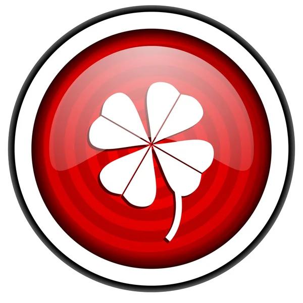 Trébol de cuatro hojas icono brillante rojo aislado sobre fondo blanco —  Fotos de Stock