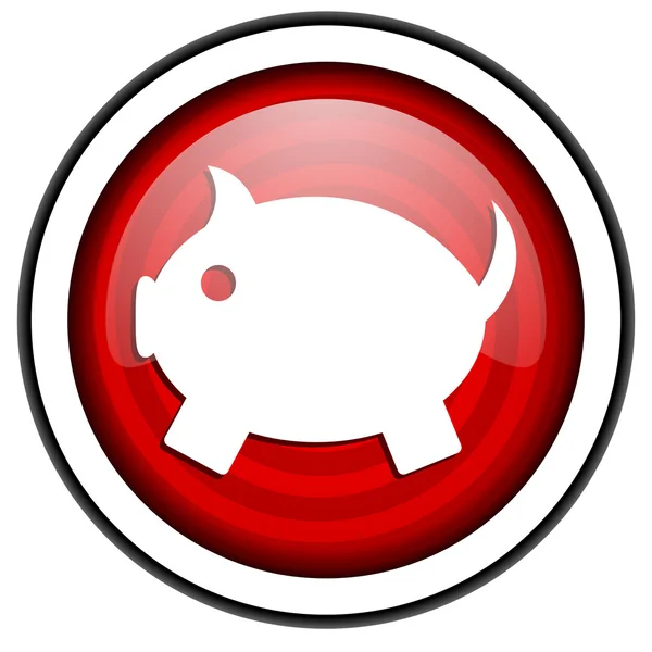 Piggy bank red glossy icon isolated on white background — Stock Photo, Image