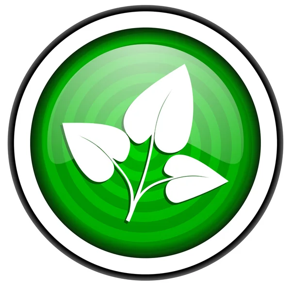 Eco groene glanzende pictogram geïsoleerd op witte achtergrond — Stockfoto