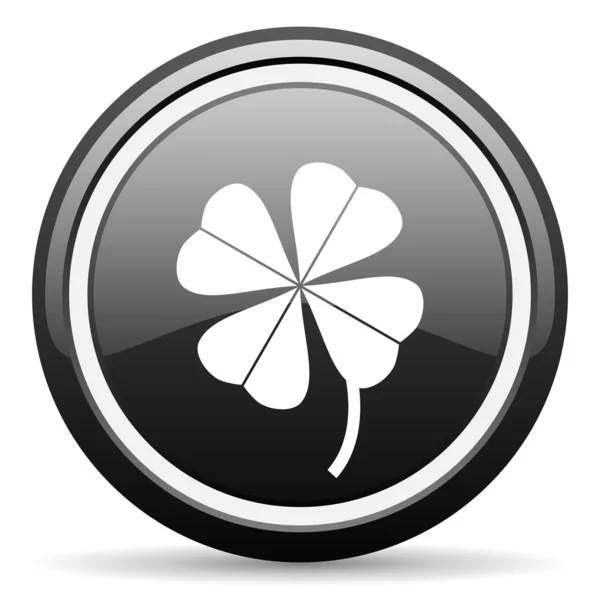 Trébol de cuatro hojas negro icono brillante sobre fondo blanco —  Fotos de Stock