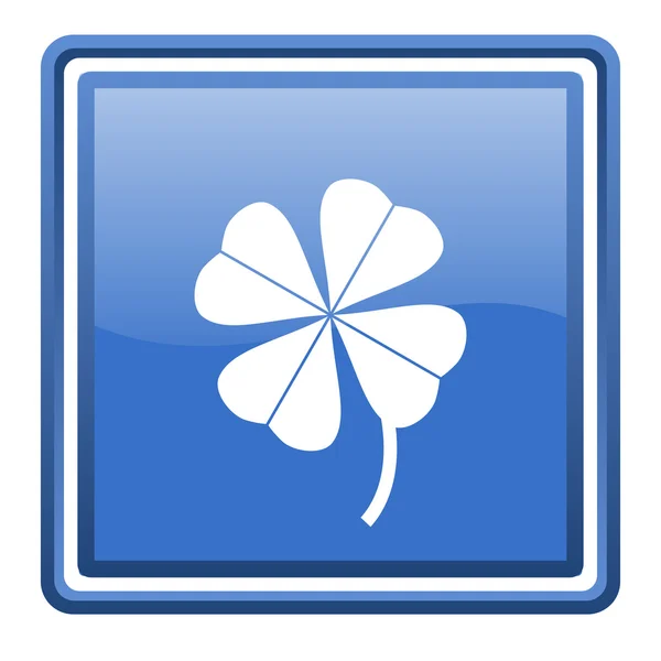 Four-leaf clover blue glossy square web icon isolated — Stock Photo, Image