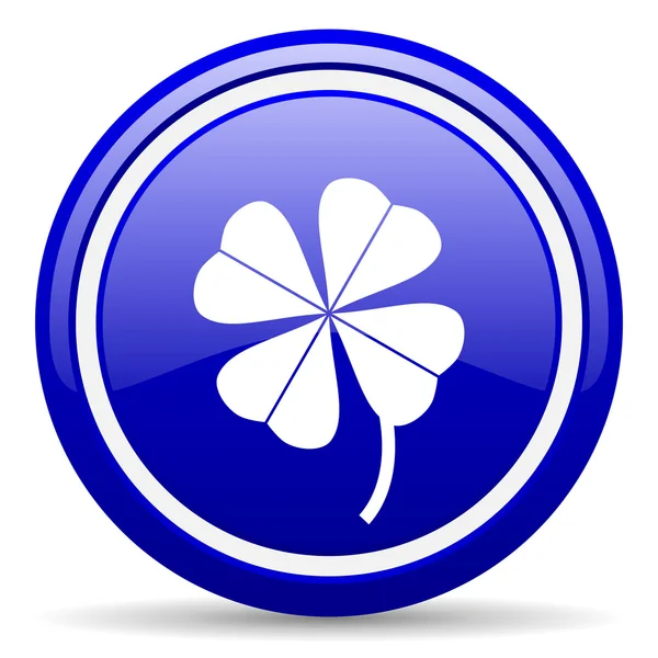 Klavertje vier blauwe glanzende pictogram op witte achtergrond — Stockfoto