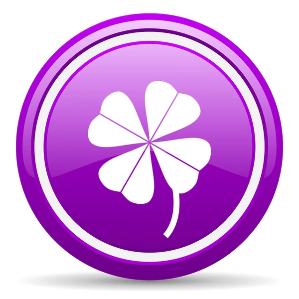 Four-leaf clover violet glossy icon on white background — Stock Photo, Image