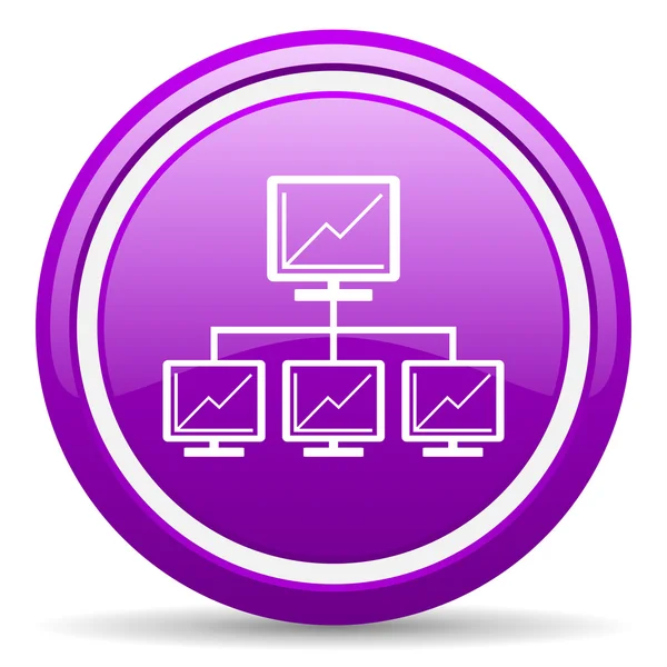 Network violet glossy icon on white background — Stock Photo, Image