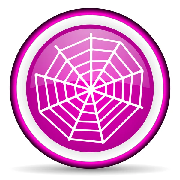 Spider web violet glossy icon on white background — Stock Photo, Image