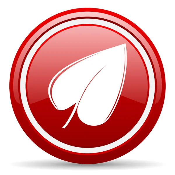 Foglia icona lucida rossa su sfondo bianco — Foto Stock