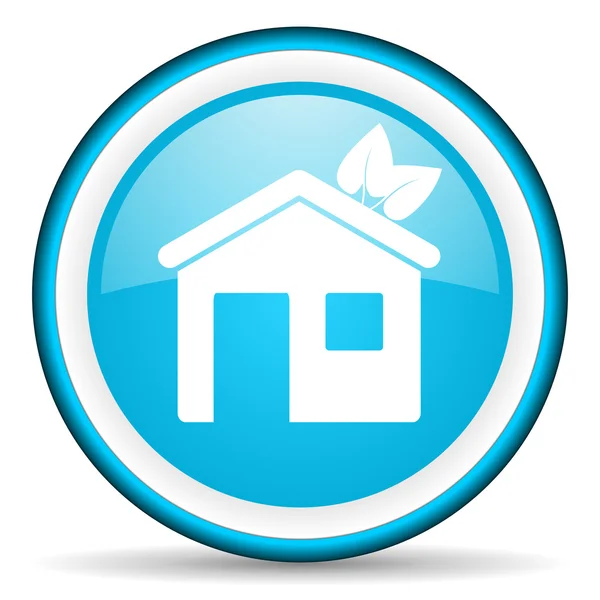 Home blue glossy icon on white background — Stock Photo, Image