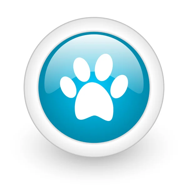 Animal footprint blue circle glossy web icon on white background — Stock Photo, Image