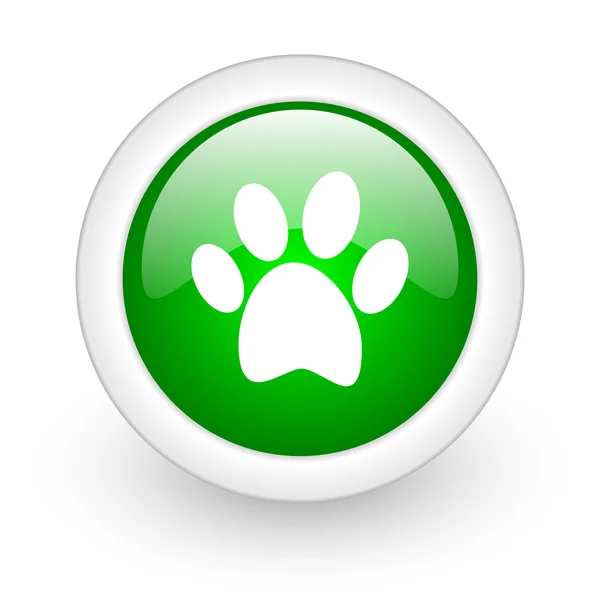 Dierlijke voetafdruk groene cirkel glanzend web pictogram op witte achtergrond — Stockfoto