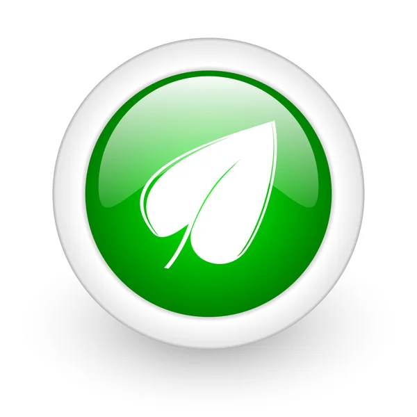 Foglia verde cerchio lucido icona web su sfondo bianco — Foto Stock
