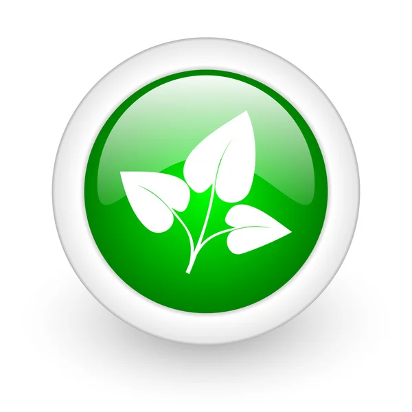 Eco green circle icona web lucida su sfondo bianco — Foto Stock