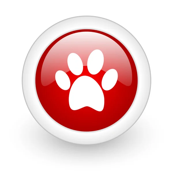 Animal footprint red circle glossy web icon on white background — Stock Photo, Image