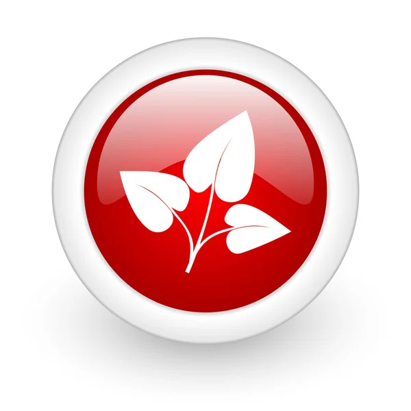 Ikona lesklý webové Eco červený kruh na bílém pozadí — Stock fotografie