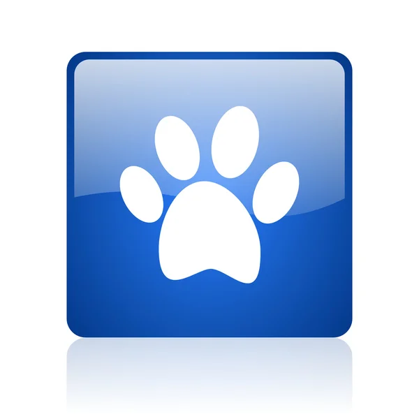 Hayvan ayak kare parlak web simgesi beyaz zemin üzerine mavi — Stok fotoğraf