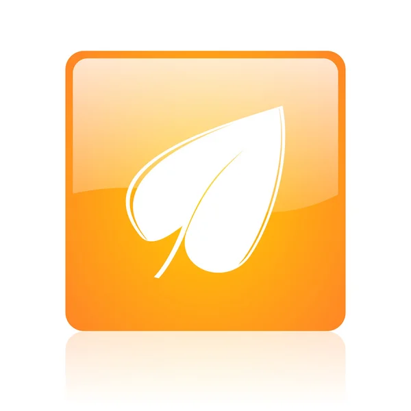Turuncu kare parlak web simgesi yaprak — Stok fotoğraf
