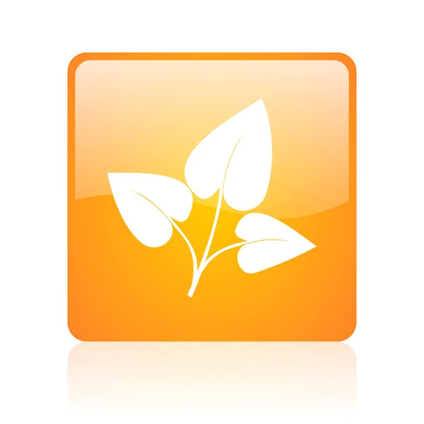 Eco pomarańczowy kwadrat błyszcząca tkanina ikona — Zdjęcie stockowe