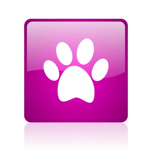 Animal footprint violet square web glossy icon — Stock Photo, Image