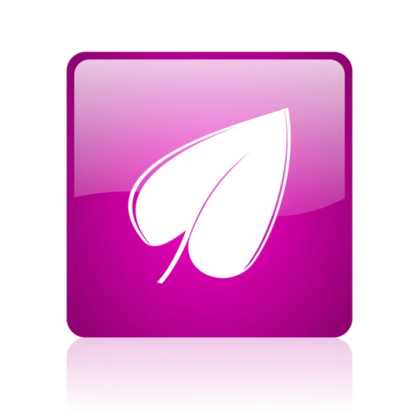 Hoja violeta cuadrada web brillante icono — Foto de Stock